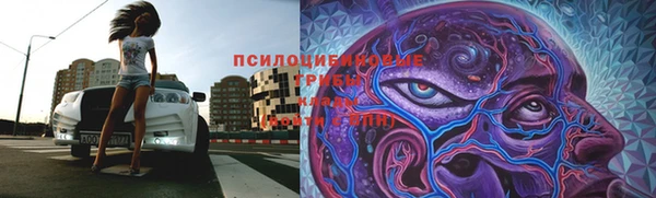 PSILOCYBIN Нягань