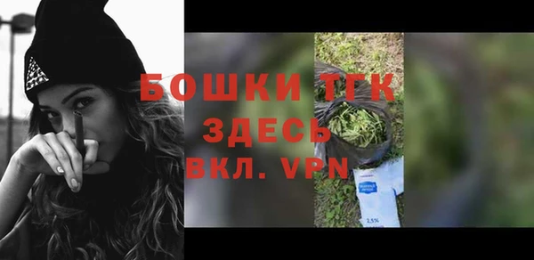 шишки Осташков