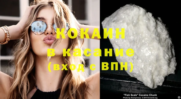 таблы Осинники