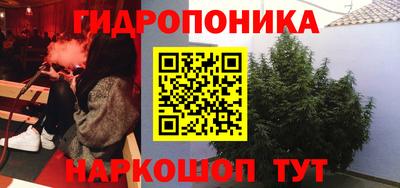 МДПВ Гагарин