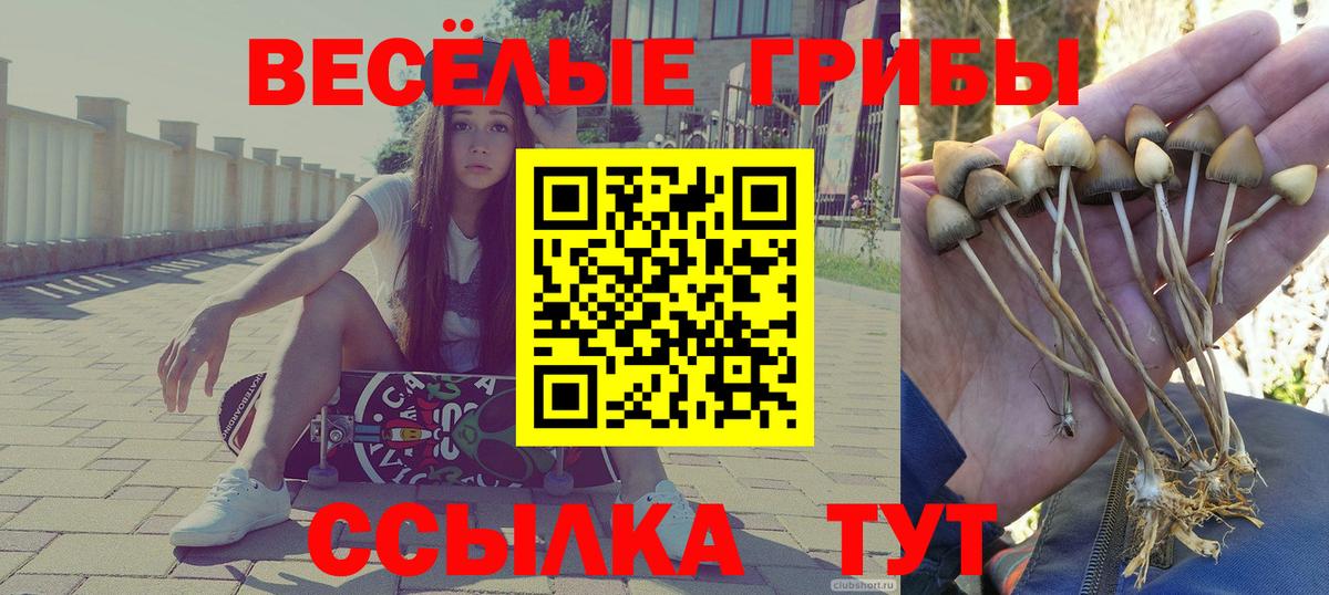 Анапа  Галлюциногенные грибы MAGIC MUSHROOMS  Галлюциногенные грибы Psilocybe  Вход с VPN 