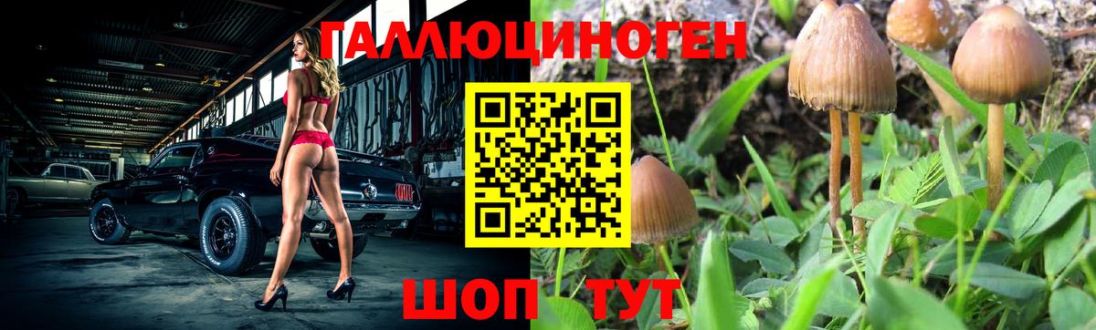 Анапа  Псилоцибиновые грибы ЛСД  Вход с VPN  Галлюциногенные грибы MAGIC MUSHROOMS 