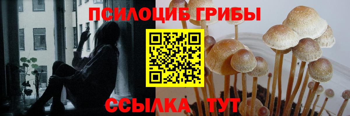 Галлюциногенные грибы Psilocybine cubensis  Псилоцибиновые грибы GOLDEN TEACHER  Анапа 